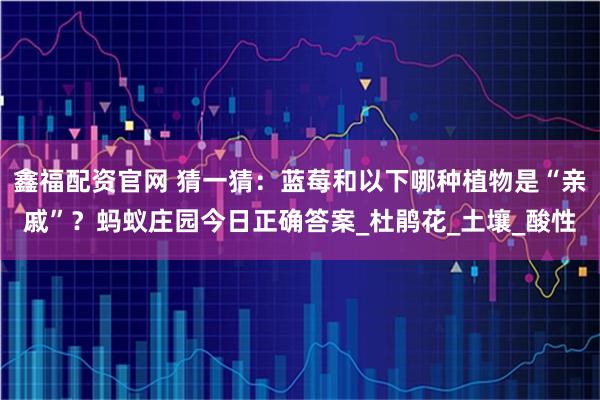 鑫福配资官网 猜一猜：蓝莓和以下哪种植物是“亲戚”？蚂蚁庄园今日正确答案_杜鹃花_土壤_酸性