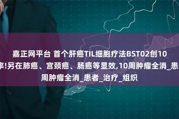 嘉正网平台 首个肝癌TIL细胞疗法BST02创100%疾病控制率!另在肺癌、宫颈癌、肠癌等显效,10周肿瘤全消_患者_治疗_组织