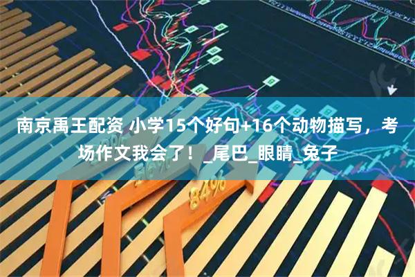 南京禹王配资 小学15个好句+16个动物描写，考场作文我会了！_尾巴_眼睛_兔子