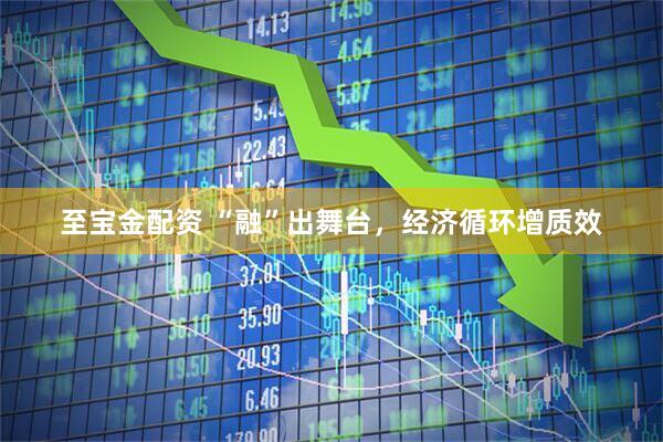 至宝金配资 “融”出舞台，经济循环增质效